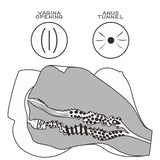 Masturbador Streetgirls 7