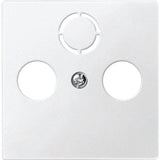 Merten 297519 Placa Central Para Antena Pws System M
