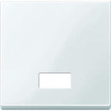 Merten 432819 Tecla Basculante Para Interruptor. Symbolfenster Pws System M