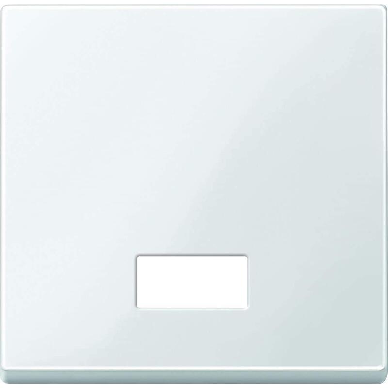 Merten 432819 Wippe Für Schalter. Symbolfenster Pws System M
