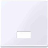 Merten 432825 Aws Tecla Basculante M Symbolfenster Rectangular Brillante