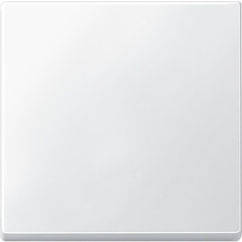 Merten 433119 Wippe Für Schalter. Taster Pws System M