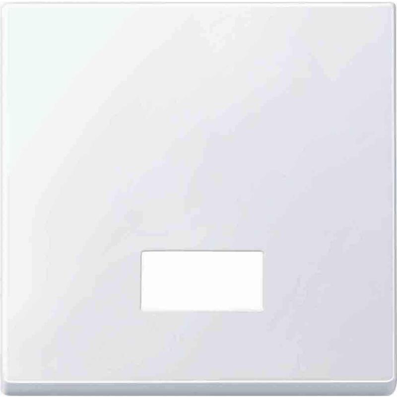 Merten 433819 Wippe Für Schalter. Symbolfenster Pws System M