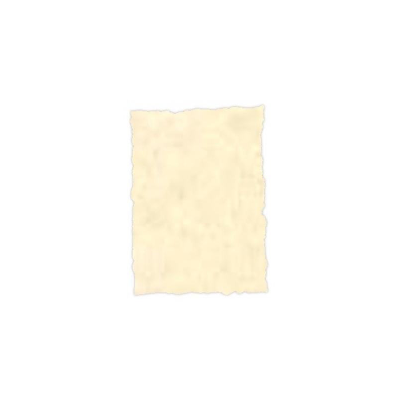 Michel Pergamino Troquelado 150gr A4 Pack 25u Topacio