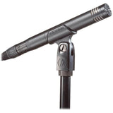 Micrófono Audio Technica At2031