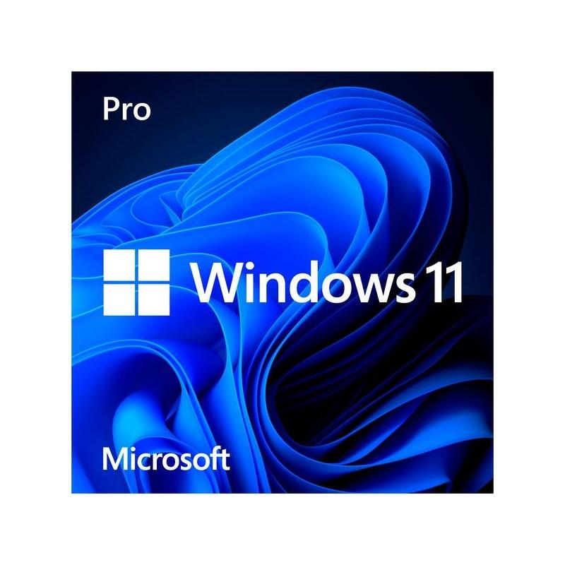 Microsoft Windows 11 Pro, Software Del Sistema Operativo De 64 Bits, Alemán, Usb Stick Hav-00180
