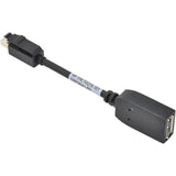 Mini Displayport To  Displayport Male Adapter