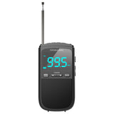 Mini Radio Camry Cr 1905 Portable, Black