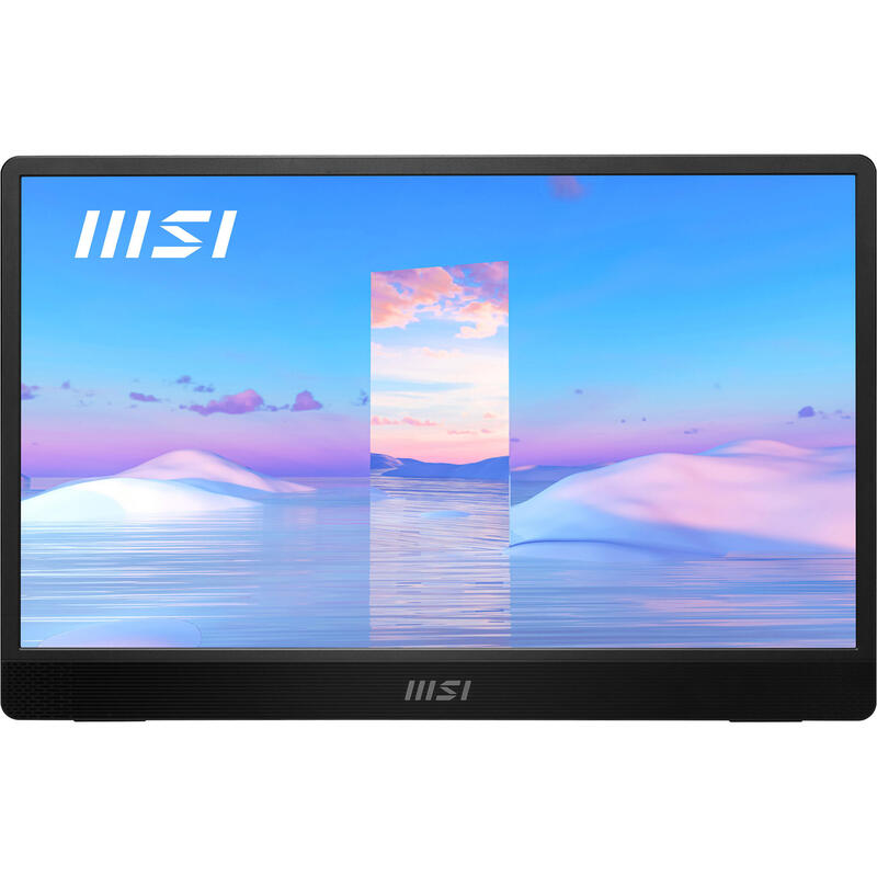 Monitor 15.6  Msi Pro Mp161 Iron Gray 4ms 60hz Fhd Ips Dp 2xusb Hdmi Vesa