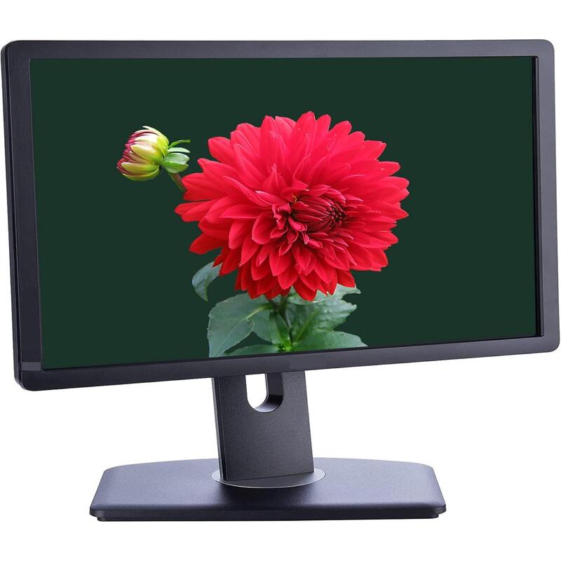 Monitor Reacondicionado Dell P1913t 19" Vga Dp Dvi  Usb Negro    1 Año De Garantia