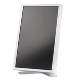 Monitor Reacondicionado Eizo S2202w 22" Dvi-D Y Vga