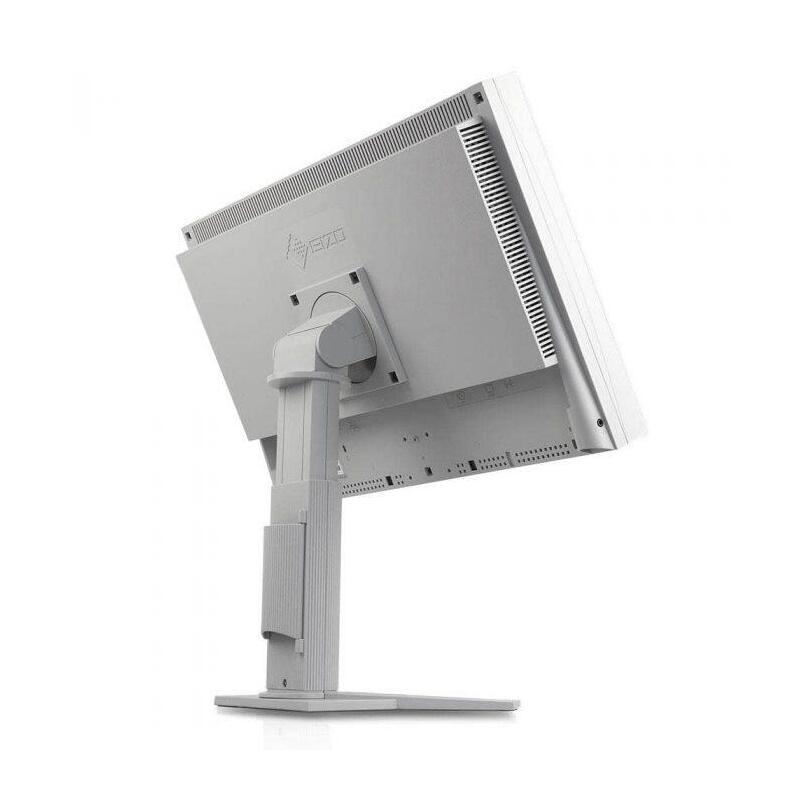 Monitor Reacondicionado Eizo S2202w 22" Dvi-D Y Vga