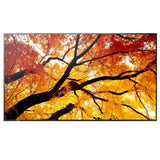 Monitor Wielkoformatowy Multisync M502 50 Cali 550cd/M2 24/7