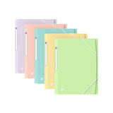 Pack De 10 Unidades Oxford A4+ Pp Tr Pastel Std - Carpeta De Plastico Resistente - Tamaño A4+ - Diseño Moderno Y