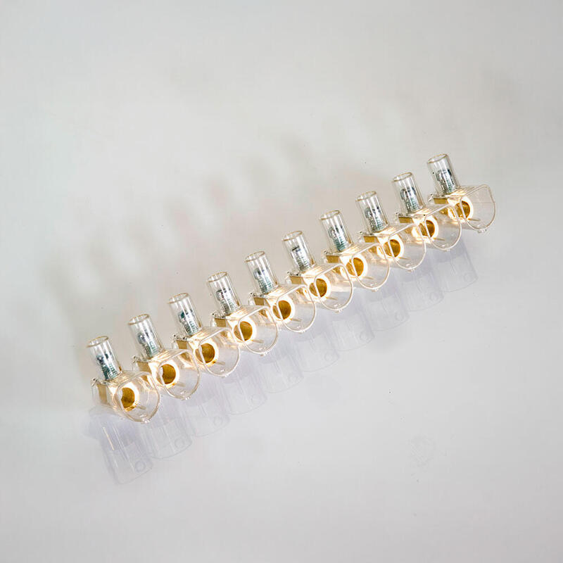 Pack De 10 Unidades - Regleta Ciega Transparente 10 Polos 2,5 Mm²