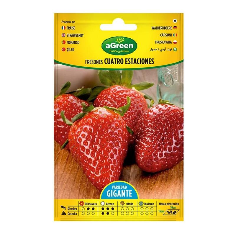 Pack De 10 Unidades - Sobre Con Semillas De Fresones 4 Estaciones