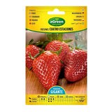 Pack De 10 Unidades - Sobre Con Semillas De Fresones 4 Estaciones