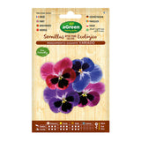 Pack De 10 Unidades - Sobre Con Semillas De Pensamiento Gigante Agreen