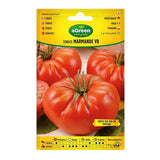 Pack De 10 Unidades - Sobre Con Semillas De Tomate Marmande Vr Holanda