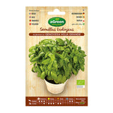 Pack De 10 Unidades - Sobre Con Semillas Eco De Albahaca Genovesa Agreen