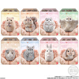 Pack De 12 Unidades - Figura Mofu Mofu Tenori Friends Wave 2 5cm Surtido