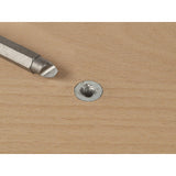 Pack De 2 Puntas Tornillos Defectuosos Con Cabeza Especial 2982000 Wolfcraft