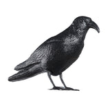 Pack De 2 Unidades - Cuervo Ahuyenta Pájaros 36 X 13 X 18 Cm