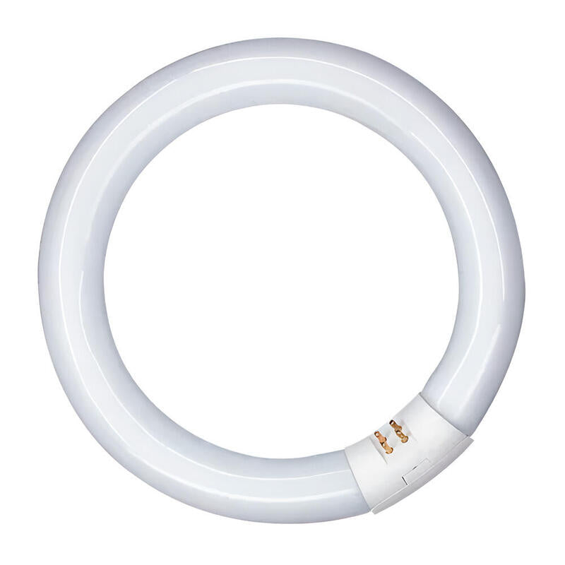 Pack De 2 Unidades - Tubo Fluorescente Circular 20w, G10q, Luz Fria Ø210 Mm