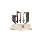 Pack De 20 Unidades Esselte Archivador Palanca Folio Lomo Ancho Cartón Jaspeado