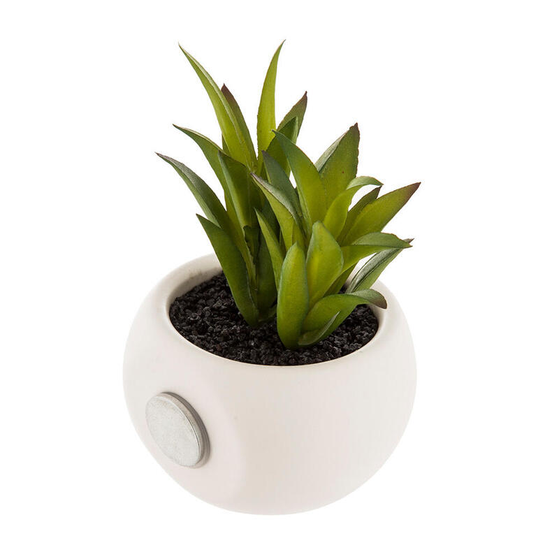 Pack De 20 Unidades - Mini Plantas Decorativas Con Iman Modelos Surtidos 6cm