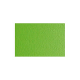 Pack De 20 Unidades Sadipal Cartulina Lr 200 Texturizada 50x70cm Verde Pisello