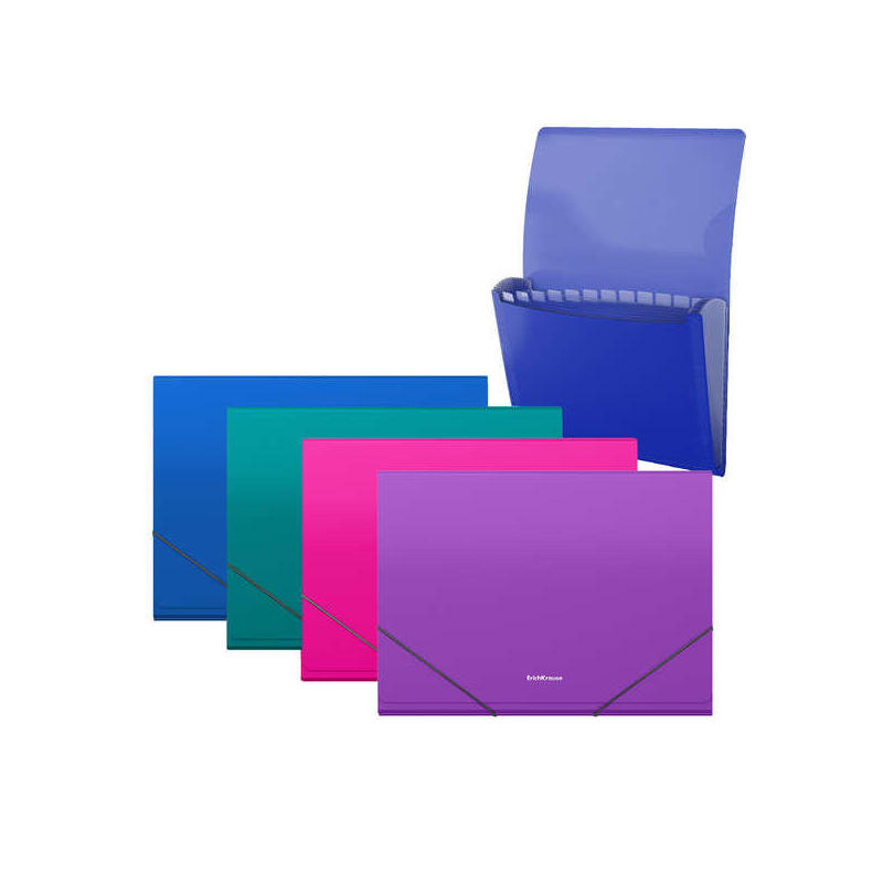 Pack De 4 Unidades Erichkrause Matt Vivid Carpeta/Clasificador Con 12 Fundas A4 - Acabado Mate - Colores Surtidos