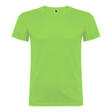 Pack De 5 Unidades - Camiseta Beagle Verde Oasis T.L