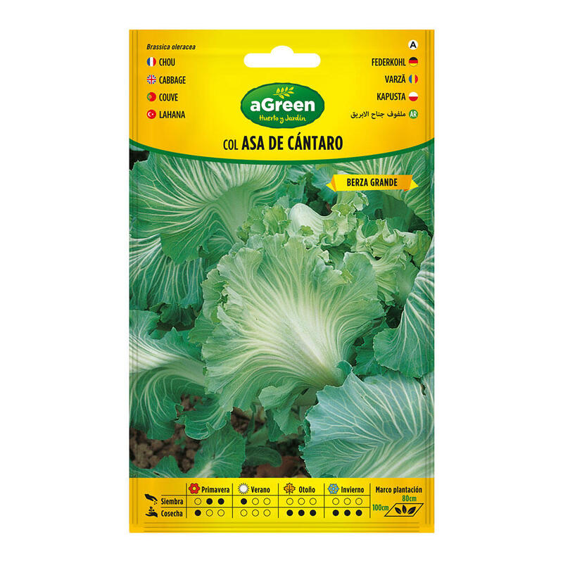 Pack De 5 Unidades - Sobre Con Semillas De Col Asa De Cantaro 000250bolsh Agreen