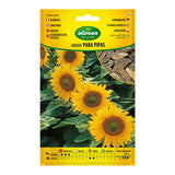 Pack De 5 Unidades - Sobre Con Semillas De Girasol Para Pipas 301024bolsh Agreen