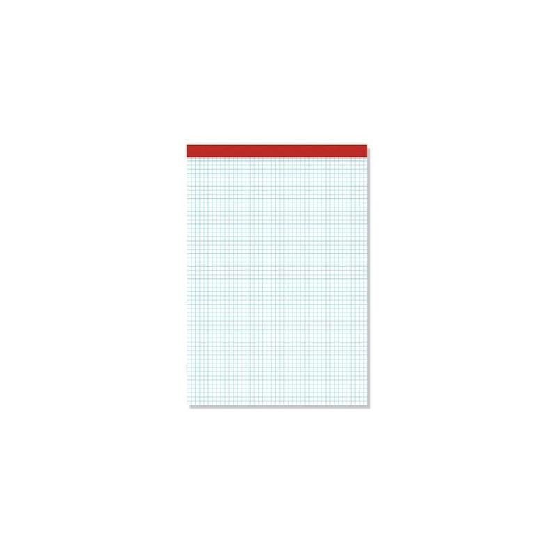 Pacsa Bloc Notas Sin Tapa 80h Trepadas 4x4 Folio -10u-
