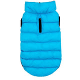 Pchelka Flora Kol.Azul-Negro Roz.Xs