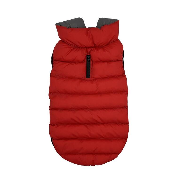 Pchelka Flora Kol.Rojo-Gris Roz.L