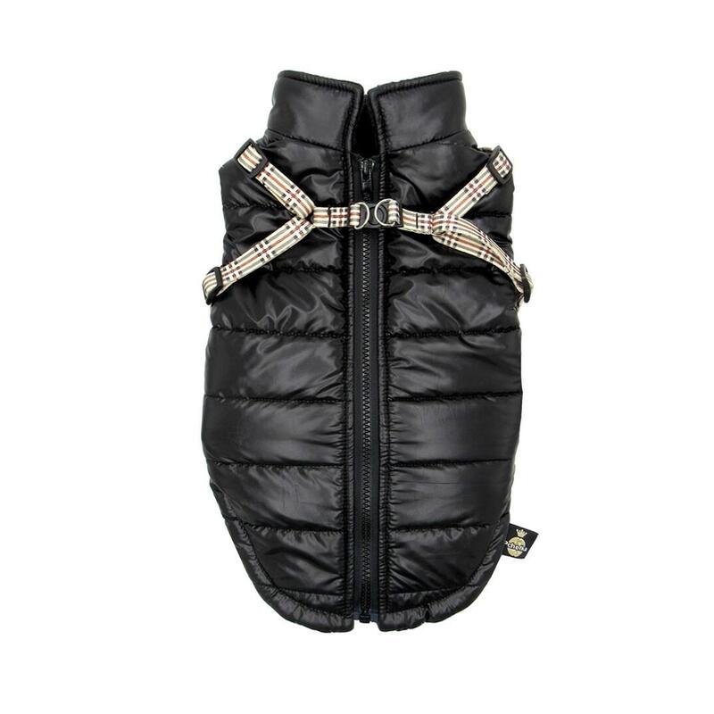 Pchelka Tobiasz Black - Ropa Para Perros - Talla L