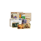 Pegasus Spirit Island: Nación De Escocia, Escenarios Y Expansión De Mapas, Mini Expansión De Juego De Mesa 90009g