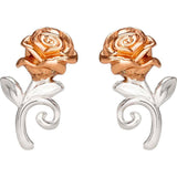 Pendientes Rosa La Bella Y La Bestia Disney Plata