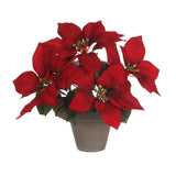 Planta Ponsettia Roja En Maceta Gris 27x35cm