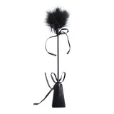 Plumas Estimuladoras Y Fusta 2 En 1 Negro