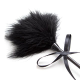 Plumas Estimuladoras Y Fusta 2 En 1 Negro