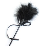 Plumas Estimuladoras Y Fusta 2 En 1 Negro