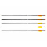 Poe Lang 28 Fibreglass Arrows - Set Of 5 (D-055-B3)