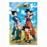 Poster 3d Batalla De Dioses Dragon Ball Super