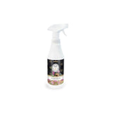 Prady Ambientador Home Spray Ritual De Spa - Frasco De 700 Ml - Spray Pulverizador