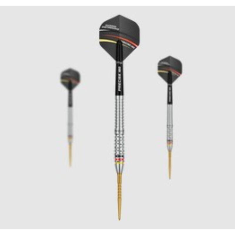 Precise180 - Meeldarts Ricardo Pietreczko - 21gr.