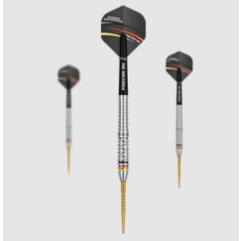 Precise180 - Meeldarts Ricardo Pietreczko - 25gr.